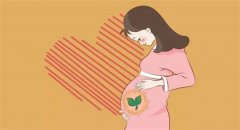 怀孕后的哪三件事要提前做 确保胎宝宝健康发育
