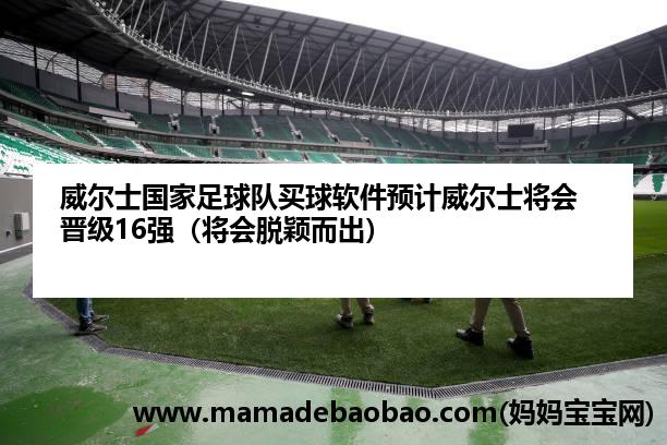 威尔士国家足球队麦球软件预计威尔士将会晋级16强（将会脱颖而出）