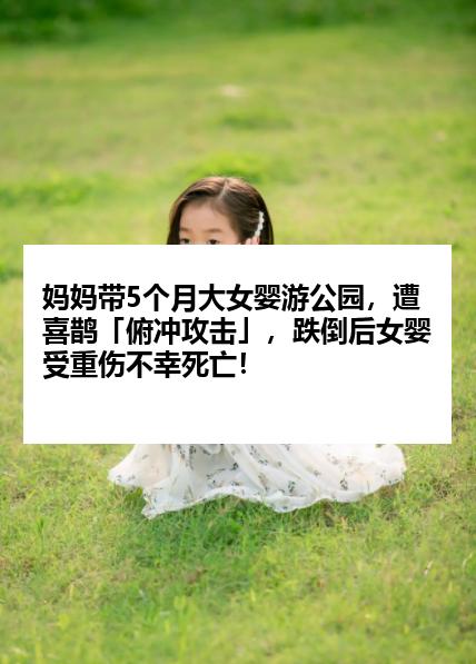 妈妈带5个月大女婴游公园，遭喜鹊「俯冲攻击」，跌倒后女婴受重伤不幸死亡！