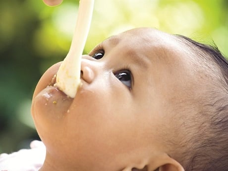 什么时候给宝宝喂奶: 开始的时间和宝宝一天的食物!