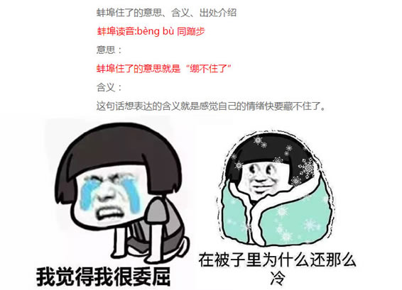 蚌埠住了是什么梗 蚌埠住了梗的出处是什么